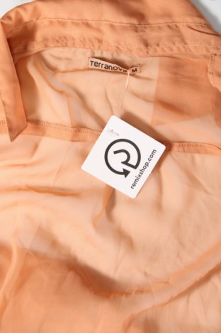 Γυναικείο πουκάμισο Terranova, Μέγεθος M, Χρώμα Πορτοκαλί, Τιμή 6,91 €