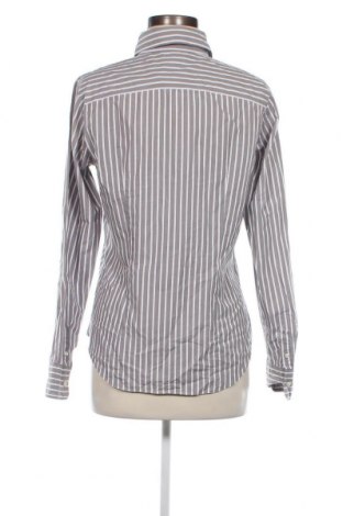 Γυναικείο πουκάμισο Tommy Hilfiger, Μέγεθος M, Χρώμα Γκρί, Τιμή 25,05 €