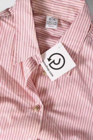 Γυναικείο πουκάμισο Walbusch, Μέγεθος XL, Χρώμα Πολύχρωμο, Τιμή 13,75 €