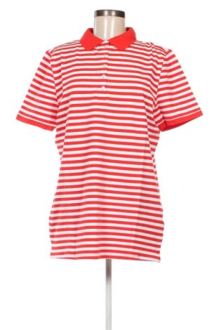 Γυναικείο t-shirt Cheer, Μέγεθος XL, Χρώμα Πολύχρωμο, Τιμή 10,82 €
