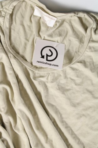 Γυναικείο t-shirt Guido Maria Kretschmer for About You, Μέγεθος M, Χρώμα Πράσινο, Τιμή 4,66 €