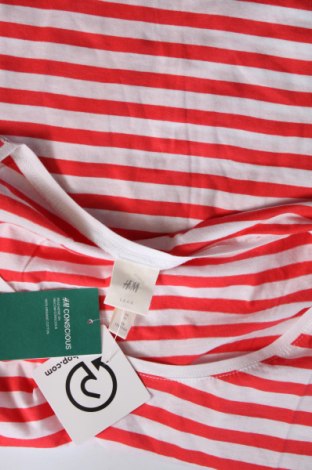 Damen T-Shirt H&M, Größe XL, Farbe Mehrfarbig, Preis € 10,74
