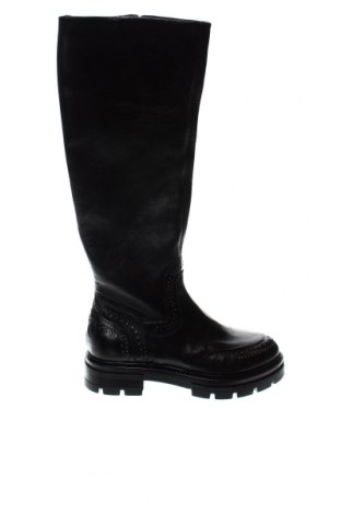 Γυναικείες μπότες MJUS, Μέγεθος 36, Χρώμα Μαύρο, Τιμή 88,45 €
