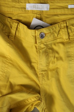 Γυναικείο Τζίν Blue Ridge, Μέγεθος L, Χρώμα Κίτρινο, Τιμή 10,76 €