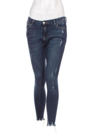 Damen Jeans Denim Co., Größe M, Farbe Blau, Preis € 9,08
