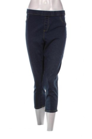 Damen Jeans Denim Co., Größe XXL, Farbe Blau, Preis € 18,33