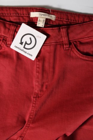 Damen Jeans Esprit, Größe S, Farbe Rot, Preis € 28,53