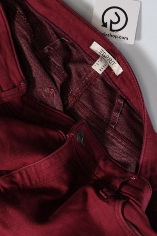 Damskie jeansy Esprit, Rozmiar XL, Kolor Czerwony, Cena 131,14 zł