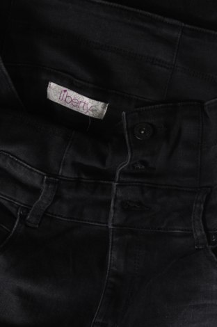 Dámske džínsy  Liberty, Veľkosť M, Farba Sivá, Cena  3,49 €