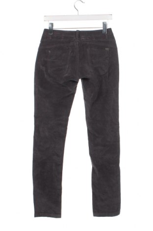 Pantaloni de velvet de femei Artime, Mărime XS, Culoare Gri, Preț 20,99 Lei