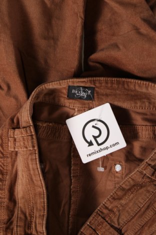 Γυναικείο κοτλέ παντελόνι Bexleys, Μέγεθος XL, Χρώμα Καφέ, Τιμή 7,61 €