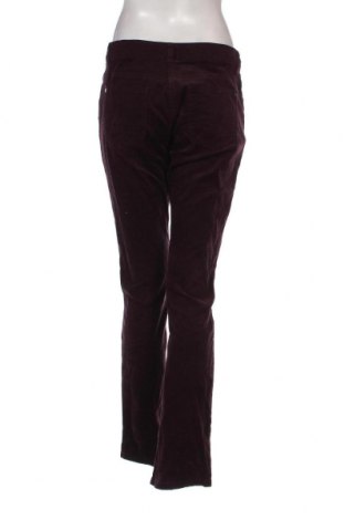 Pantaloni de velvet de femei Cecilia Classics, Mărime M, Culoare Roz, Preț 42,93 Lei