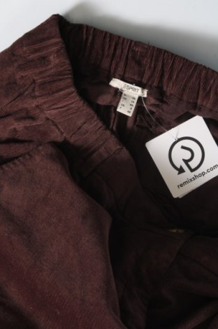 Γυναικείο κοτλέ παντελόνι Esprit, Μέγεθος M, Χρώμα Καφέ, Τιμή 25,36 €