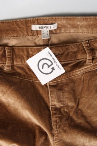 Pantaloni de velvet de femei Esprit, Mărime M, Culoare Maro, Preț 134,87 Lei