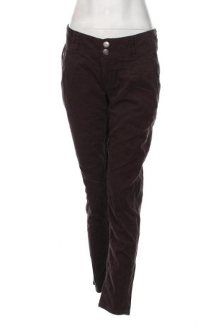 Pantaloni de velvet de femei Fresh Made, Mărime M, Culoare Maro, Preț 59,70 Lei