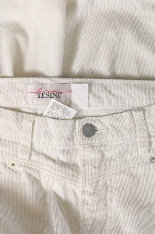 Γυναικείο κοτλέ παντελόνι Linea Tesini, Μέγεθος XS, Χρώμα Πολύχρωμο, Τιμή 3,80 €