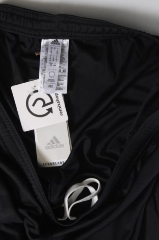Damen Shorts Adidas, Größe L, Farbe Schwarz, Preis 63,92 €