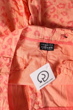 Γυναικείο κοντό παντελόνι Colours Of The World, Μέγεθος XL, Χρώμα Πορτοκαλί, Τιμή 6,35 €