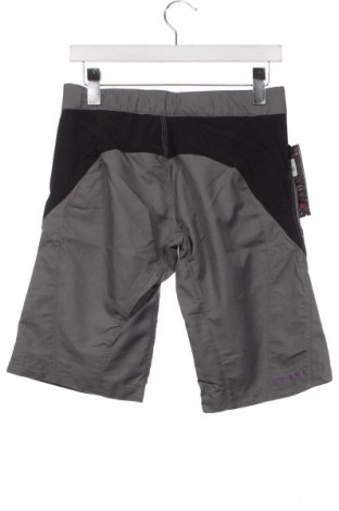 Damen Shorts Dakine, Größe XS, Farbe Grau, Preis € 28,87