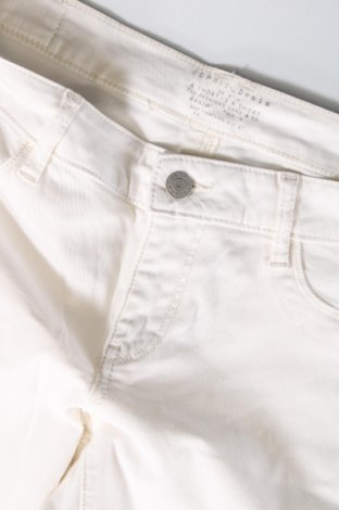 Damen Shorts Esprit, Größe M, Farbe Weiß, Preis € 23,66