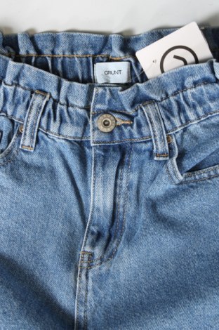 Γυναικείο κοντό παντελόνι Grunt, Μέγεθος S, Χρώμα Μπλέ, Τιμή 15,98 €
