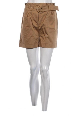Γυναικείο κοντό παντελόνι Morgan, Μέγεθος S, Χρώμα Καφέ, Τιμή 39,69 €