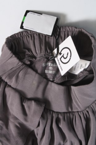 Damen Shorts Superdry, Größe S, Farbe Grau, Preis 15,88 €