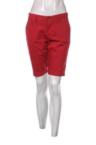 Γυναικείο κοντό παντελόνι Timeout, Μέγεθος M, Χρώμα Κόκκινο, Τιμή 20,02 €