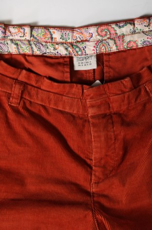 Damen Leggings Esprit, Größe S, Farbe Orange, Preis 16,57 €