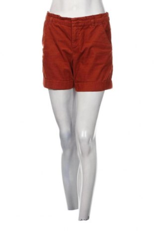 Damen Leggings Esprit, Größe S, Farbe Orange, Preis 16,57 €