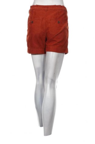 Γυναικείο κολάν Esprit, Μέγεθος S, Χρώμα Πορτοκαλί, Τιμή 16,57 €