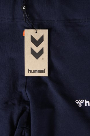 Dámske legíny  Hummel, Veľkosť XL, Farba Čierna, Cena  12,78 €
