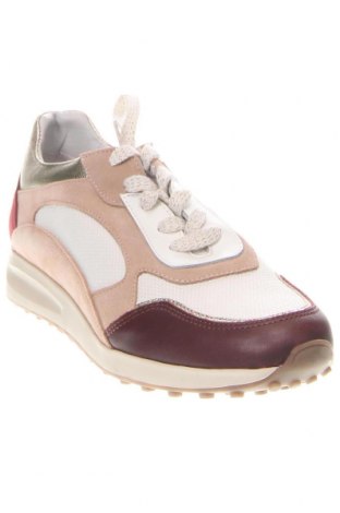 Γυναικεία παπούτσια Caroll, Μέγεθος 38, Χρώμα Πολύχρωμο, Τιμή 86,85 €