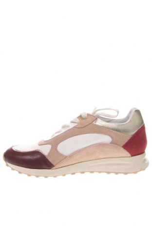 Γυναικεία παπούτσια Caroll, Μέγεθος 38, Χρώμα Πολύχρωμο, Τιμή 86,85 €