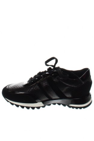 Dámske topánky  Geox, Veľkosť 36, Farba Čierna, Cena  104,64 €