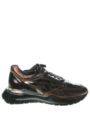 Γυναικεία παπούτσια Hogl, Μέγεθος 37, Χρώμα Πολύχρωμο, Τιμή 118,94 €