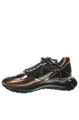 Dámské boty  Hogl, Velikost 37, Barva Vícebarevné, Cena  3 344,00 Kč