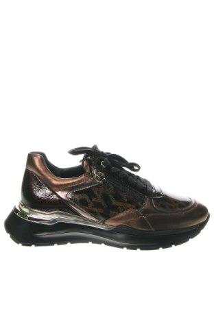 Γυναικεία παπούτσια Hogl, Μέγεθος 37, Χρώμα Πολύχρωμο, Τιμή 78,82 €