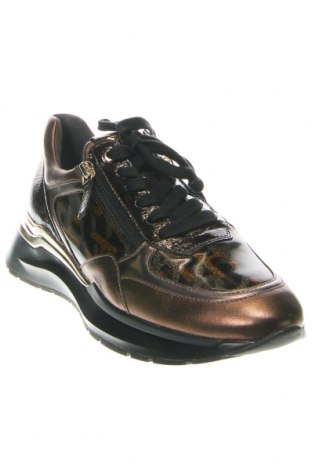 Γυναικεία παπούτσια Hogl, Μέγεθος 37, Χρώμα Πολύχρωμο, Τιμή 71,65 €