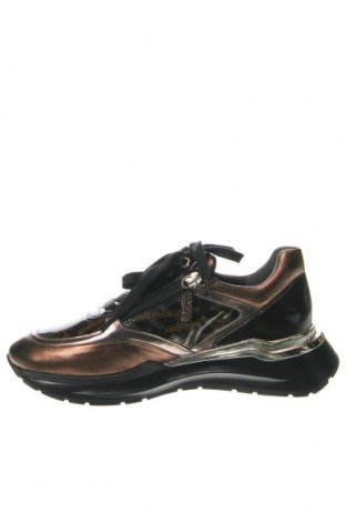 Дамски обувки Hogl, Размер 37, Цвят Многоцветен, Цена 139,00 лв.