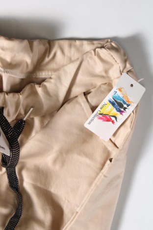 Γυναικείο παντελόνι, Μέγεθος L, Χρώμα  Μπέζ, Τιμή 13,44 €
