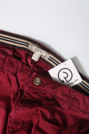 Дамски панталон Esprit, Размер XL, Цвят Червен, Цена 22,55 лв.