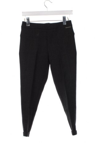 Pantaloni de femei TWINSET, Mărime XS, Culoare Gri, Preț 229,14 Lei