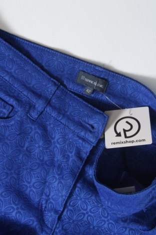 Dámske nohavice Terre Bleue, Veľkosť L, Farba Modrá, Cena  5,78 €