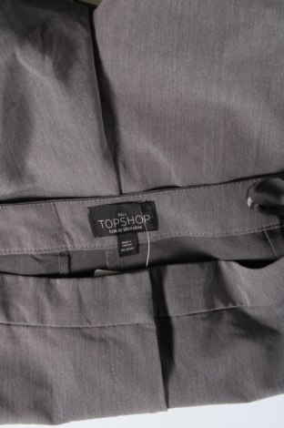Damenhose Topshop, Größe L, Farbe Grau, Preis 28,53 €