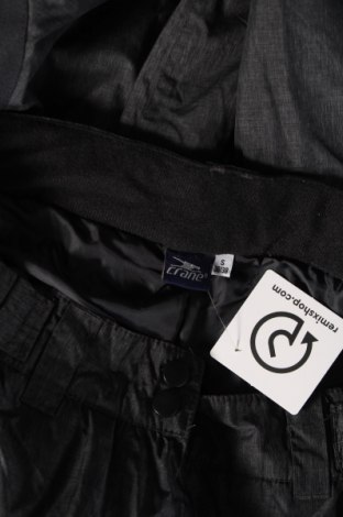 Damenhose für Wintersport Crane, Größe S, Farbe Grau, Preis € 31,31
