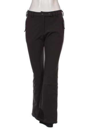 Дамски панталон за зимни спортове Crane, Размер S, Цвят Сив, Цена 42,75 лв.
