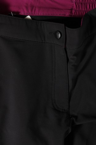 Дамски панталон за зимни спортове Crane, Размер M, Цвят Черен, Цена 40,50 лв.