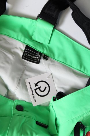 Damenhose für Wintersport Icepeak, Größe XL, Farbe Grün, Preis € 80,41