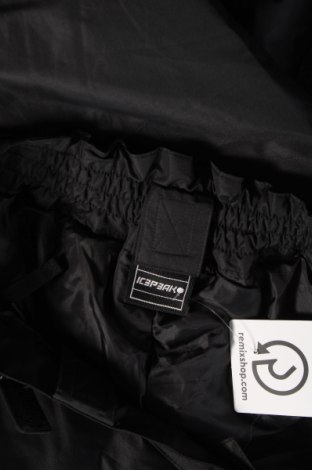 Dámske nohavice pre zimné športy Icepeak, Veľkosť L, Farba Čierna, Cena  31,19 €